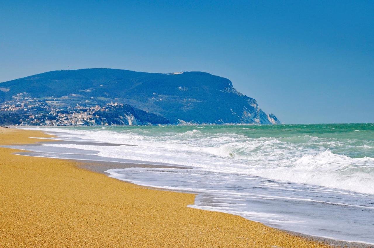 Casamare Baldassarri Civitanova Marche